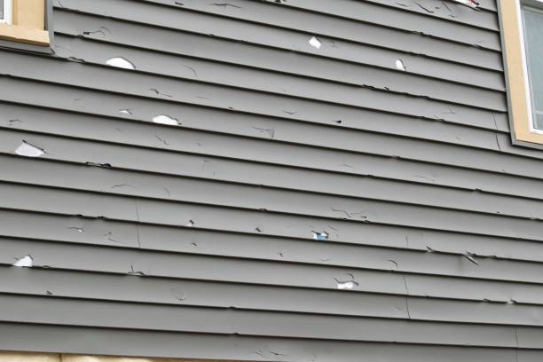 Reliable Spotsylvania Courthouse, VA Siding Services Solutions